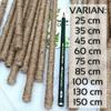 Gambar Tongkat Stick Kayu Penyangga Tanaman / Turus Kecil Natural - 25cm - D12mm dari joroyoyo Kab. Tangerang 1 Tokopedia