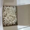 Gambar TERMURAH Fischer fiser fixer gypsum gipsum isi 120pcs dari Raja kain bintik Jakarta Barat 4 Tokopedia