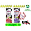 Gambar Cimory Yogurt Drink 200ml 1 dus 24 pcs - Strawberi dari CERIAKUCERIAMU Jakarta Timur 1 Tokopedia
