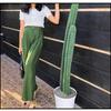Gambar CELANA KULOT PANJANG HIGHWAIST WANITA - Coksu Resleting dari sukawatisouvenir Kab. Gianyar 10 Tokopedia
