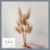 Gambar (10PCS) Dried Flower Lavender Phalaris Lagurus Wheat Bunga Kering Asli - LAVENDER dari TopFlowerSupplier Kab. Tangerang 7 Tokopedia