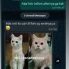 Gambar VITAMIN KUCING PENAMBAH NAFSU MAKAN Berat Badan Kurus Gemuk Bulu Obat - 10 Kapsul dari Olive Care Store Jakarta Barat 4 Tokopedia