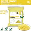 Gambar Belerang Bubuk / Sulfur Powder / Belerang Sulfur 1KG 1 KG - packing biasa dari Toko Bumi Agung Group Jakarta Utara 1 Tokopedia