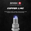 Gambar Busi Motor BRISK Copper L14C dari PT Brisk Busi Indonesia Jakarta Utara 3 Tokopedia