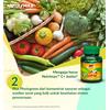 Gambar NUTRIMAX C+ PLUS JUNIOR ISI 60 TABLET KUNYAH dari Nutrimax Official Store Jakarta Barat 3 Tokopedia