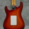 Gambar Fender Stratocaster Standard Plus Top Floyd Rose dari SMOSYU MUSIC Kota Bekasi 3 Tokopedia