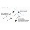 Gambar BetaFPV Dipole T Antenna for Receiver - IPEX MHF (ELRS TBS FrSky R9) - 915Mhz - 46mm dari DooFPV Kota Bekasi 1 Tokopedia