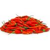 Gambar Segut Cabe Rawit Merah Bubuk / Cayenne Powder dari SPU Official Kab. Bogor 2 Tokopedia