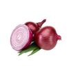 Gambar Segut Bawang Merah Bubuk / Shallot Powder dari SPU Official Kab. Bogor 2 Tokopedia