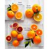 Gambar AVOCADRON SUNKIST CARA CARA NAVEL ORANGE - MINI ISI 4-6 dari Avocadron Jakarta Barat 4 Tokopedia