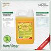 Gambar MorClean Hand Soap 5 Liter - SWEET PEACH dari ALADIN LENTERA INTEGRA Jakarta Timur 3 Tokopedia
