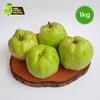 Gambar Jambu Kristal Reguler 1kg Jambu Kristal Tanpa Biji Crystal Guava dari Gudang Jambu Kristal Kota Depok 1 Tokopedia