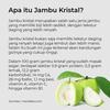 Gambar Jambu Kristal Reguler 1kg Jambu Kristal Tanpa Biji Crystal Guava dari Gudang Jambu Kristal Kota Depok 3 Tokopedia