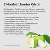 Gambar Jambu Kristal Reguler 1kg Jambu Kristal Tanpa Biji Crystal Guava dari Gudang Jambu Kristal Kota Depok 5 Tokopedia