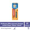 Gambar Redoxon Triple Action Effervescent Orange 10 Tab - Daya Tahan Tubuh dari Jovee 1 Tokopedia