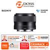 Gambar SONY SEL 35mm F1.8 OSS dari DOSS Jakarta Selatan 2 Tokopedia