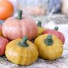 Gambar Natural Handmade Pumpkin Soap - Sabun Pumpkin Spice - Republic of Soap - Pumpkin Spice dari Republic of Soap Kota Denpasar 2 Tokopedia