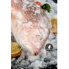 Gambar Ikan Jenaha / Jenahak / Snapper SEGAR Size 1 sd 1,5kg per Ekor dari Salmon Hu Jakarta Jakarta Utara 3 Tokopedia