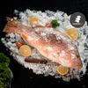 Gambar Ikan Jenaha / Jenahak / Snapper SEGAR Size 1 sd 1,5kg per Ekor dari Salmon Hu Jakarta Jakarta Utara 1 Tokopedia