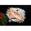 Gambar Ikan Jenaha / Jenahak / Snapper SEGAR Size 1 sd 1,5kg per Ekor dari Salmon Hu Jakarta Jakarta Utara 2 Tokopedia