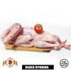 Gambar Bebek Hybrida 1,1kg dari BERKAH JAYA MEAT Jakarta Timur 1 Tokopedia