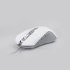 Gambar REXUS XIERRA G10 WHITE RXM-G10 GAMING MOUSE dari BTGCOM Kota Denpasar 5 Tokopedia