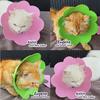 Gambar PET CONE BUNGA COLLAR LEHER PELINDUNG LUKA KUCING PELINDUNG LEHER - size S dari AL Petshop Kemang Jakarta Timur 3 Tokopedia