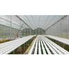 Gambar Plastik UV 250 Micron Lebar 3 meter Panjang 10 Meter Green house dari CV BAMBANG MAS OFFICIAL Kab. Blitar 2 Tokopedia