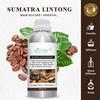 Gambar Aroma Terapi|Pengharum Ruangan|Fragrance Oil|Sumatra Lintong - 1L dari Sicher Ecosystem Jakarta Utara 1 Tokopedia