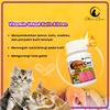 Gambar Vitamin Kucing KITTEN Jamur, Parasit, Scabies, Ringworm dan Rontok - 10 Kapsul dari Olive Care Official Shop Kota Tangerang 2 Tokopedia
