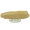 Gambar Loofah Sponge Alami / Gambas dari Rumah Rempah Manisha Kota Surakarta 3 Tokopedia