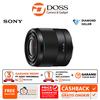 Gambar SONY FE 28MM F2 dari DOSS Jakarta Selatan 1 Tokopedia