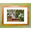 Gambar Bali Starling Prints dari Begawan.Life Shop Kab. Gianyar 1 Tokopedia