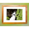 Gambar Bali Starling Prints dari Begawan.Life Shop Kab. Gianyar 5 Tokopedia