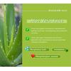Gambar Soothing Sunscreen With Mugwort + Cica dari DATGLOWSKIN Kab. Malang 5 Tokopedia