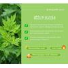 Gambar Soothing Sunscreen With Mugwort + Cica dari DATGLOWSKIN Kab. Malang 4 Tokopedia