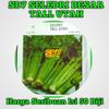 Gambar BENIH ECERAN SERIBUAN dari Toko Rumah Tani Kab. Bogor 4 Tokopedia