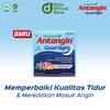 Gambar Antangin Good Night Tablet Herbal (5 Strips isi 4 tab) dari Deltomed Store Kota Tangerang Selatan 2 Tokopedia