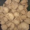 Gambar aneka peyek teri/kacang/rebon/cabe - Peyek Rebon dari toko cemilan rafiqi Jakarta Barat 2 Tokopedia