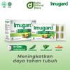 Gambar Imugard 1 Blister isi 10 Kaplet dari Deltomed Store Kota Tangerang Selatan 2 Tokopedia
