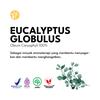 Gambar Eucalyptus Essential Oil Minyak Eukaliptus 100% Alami 10ml dari Darjeeling Store 2 Tokopedia