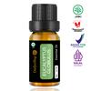 Gambar Eucalyptus Essential Oil Minyak Eukaliptus 100% Alami 10ml dari Darjeeling Store 1 Tokopedia