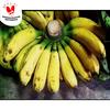 Gambar BUAH PISANG RAJA dari (SB) sahabat buah Jakarta Barat 1 Tokopedia
