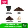 Gambar Benih-Bibit Sayuran Kale Nero Lacinato Potme Farm dari Potme Farm Kota Denpasar 3 Tokopedia