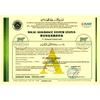 Gambar Fillet Ikan Dory / Dori / Fish & Chips (Qty. 1 kg) - Normal Grade A dari Hijrahfood Meatshop Jakarta Timur 2 Tokopedia