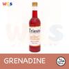 Gambar Syrup Trieste Premium - Varian Fruit Flavour - 650 ml - Blueberry dari WIGHOSHOP Kab. Tangerang 8 Tokopedia