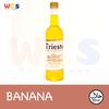 Gambar Syrup Trieste Premium - Varian Fruit Flavour - 650 ml - Blueberry dari WIGHOSHOP Kab. Tangerang 20 Tokopedia
