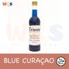 Gambar Syrup Trieste Premium - Varian Fruit Flavour - 650 ml - Blueberry dari WIGHOSHOP Kab. Tangerang 11 Tokopedia