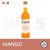Gambar Syrup Trieste Premium - Varian Fruit Flavour - 650 ml - Blueberry dari WIGHOSHOP Kab. Tangerang 24 Tokopedia