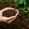 Gambar Media Tanam Tanah Organik Premium Siap Pakai dari Potme Farm Kota Denpasar 2 Tokopedia